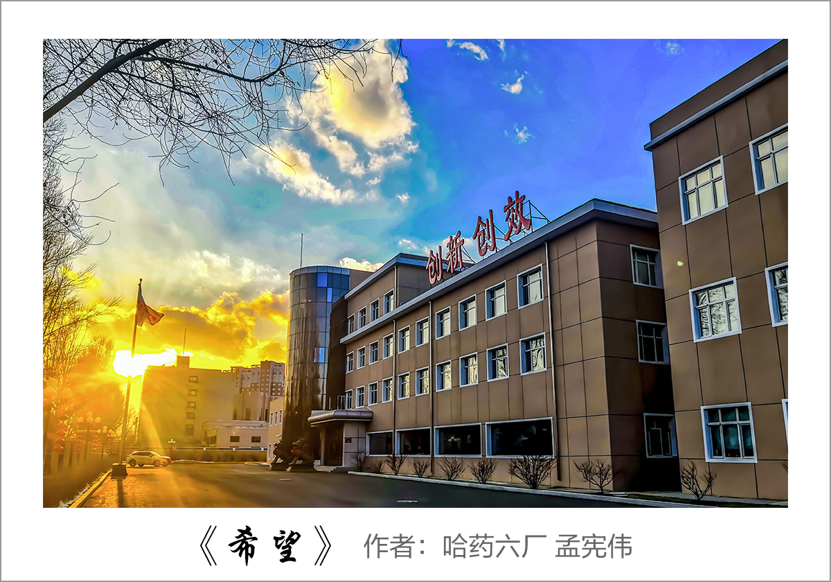 【迎國慶 展風(fēng)采】我眼中的哈藥&mdash;&mdash;職工攝影大賽作品展示！